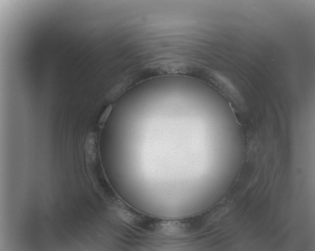 X0000071770121200607150038