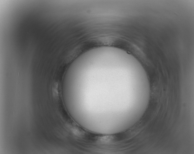 X0000071770122200607150038