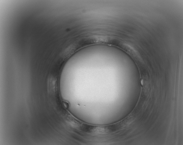 X0000071770123200607150038