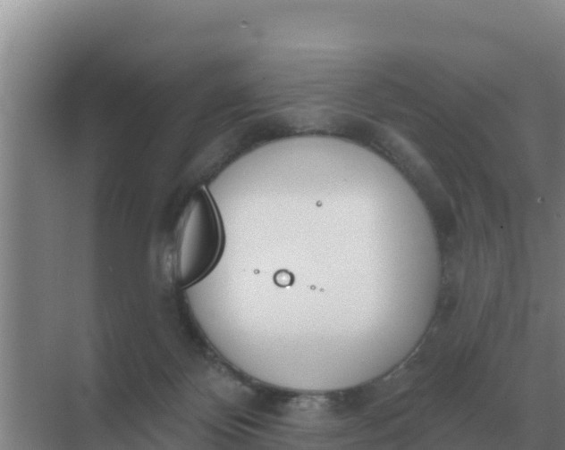 X0000071770124200607150038