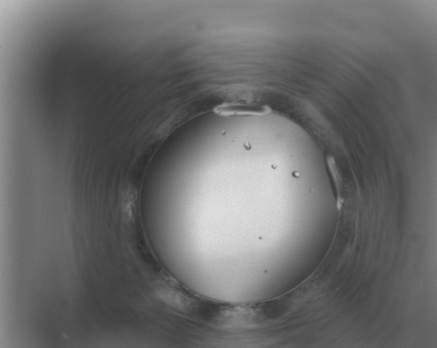 X0000071770125200607150038