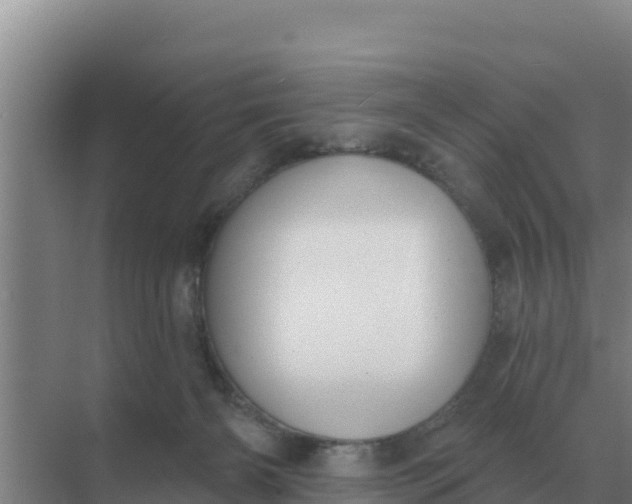 X0000071770126200607150038