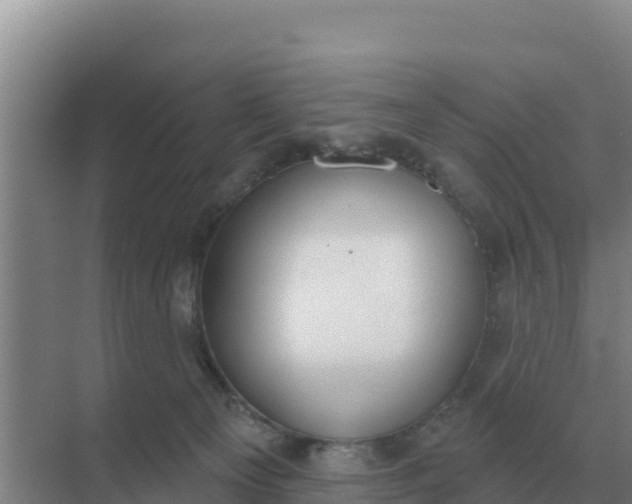 X0000071770129200607150038