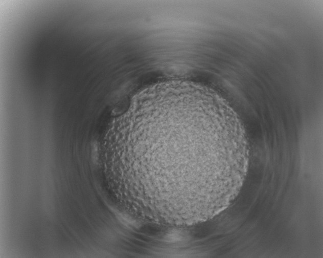 X0000071770130200607150038