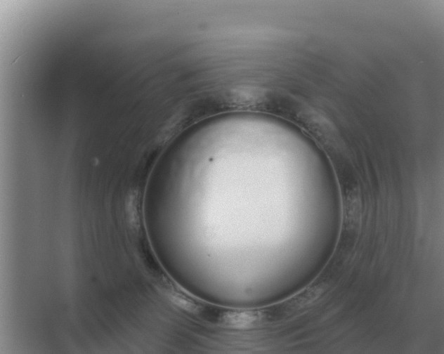 X0000071770131200607150038