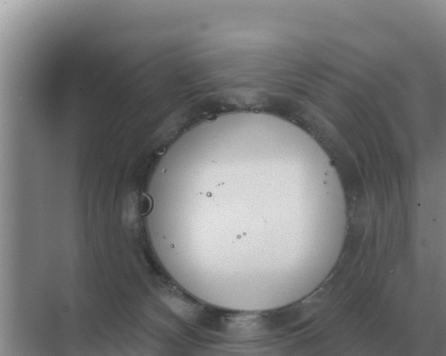 X0000071770132200607150038