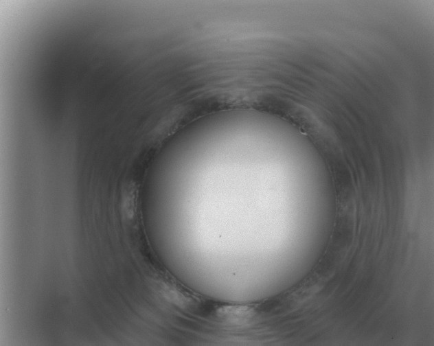 X0000071770133200607150038