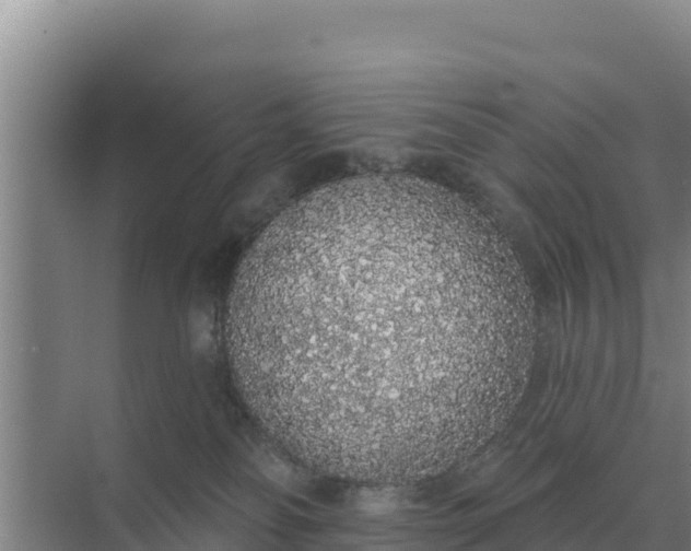 X0000071770134200607150038