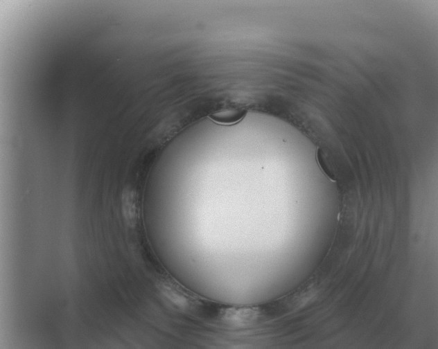 X0000071770135200607150038