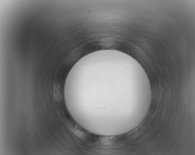 X0000071770136200607150038