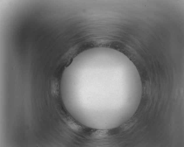 X0000071770138200607150038