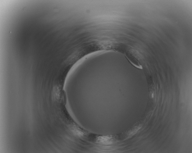 X0000071770139200607150038