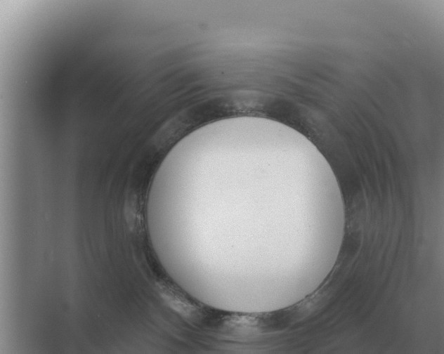 X0000071770140200607150038