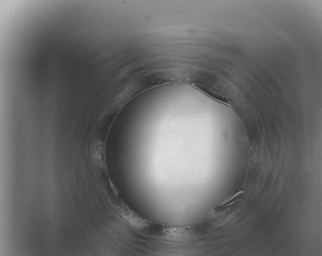 X0000071770141200607150038