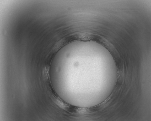 X0000071770142200607150038