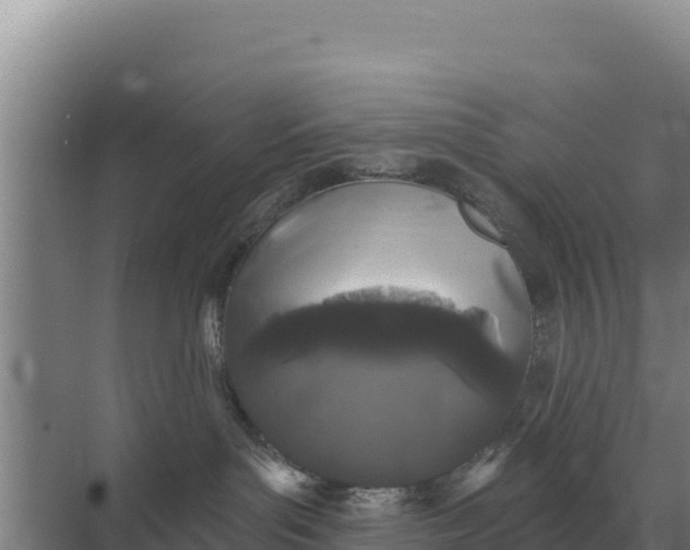 X0000071770143200607150038