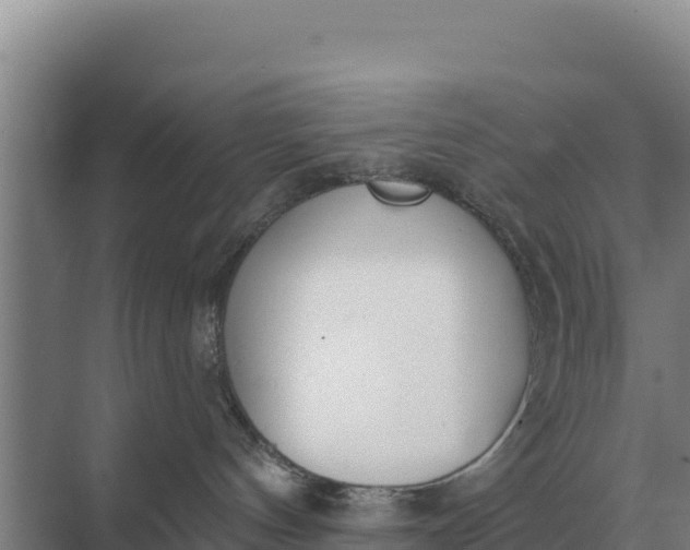 X0000071770144200607150038