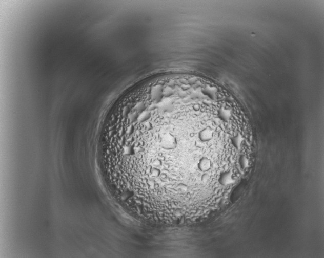 X0000071770145200607150037