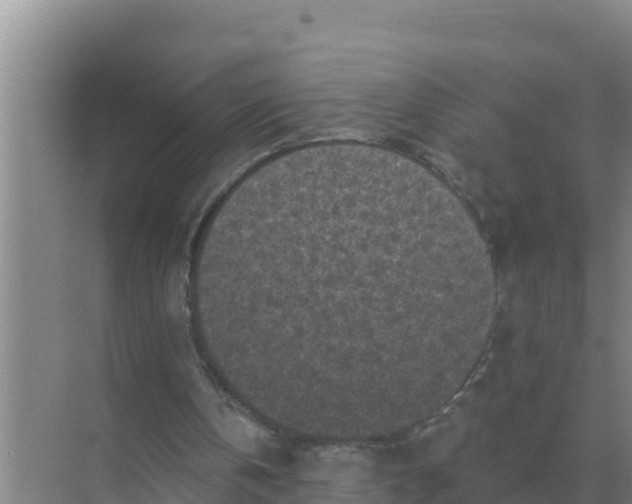 X0000071770146200607150037