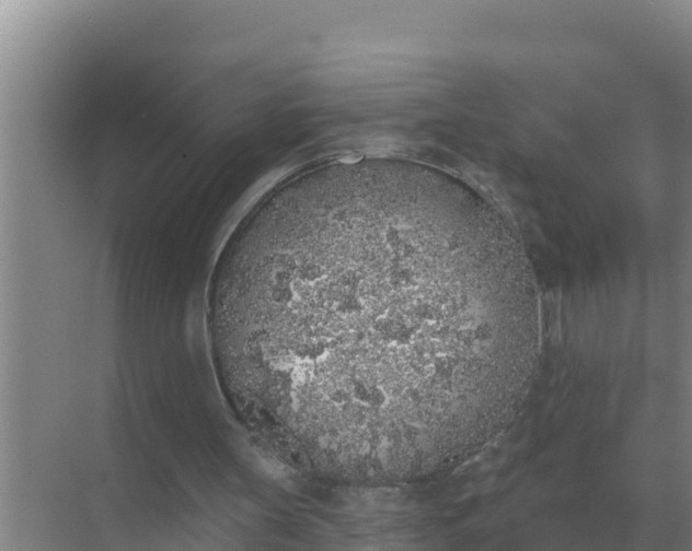 X0000071770147200607150037