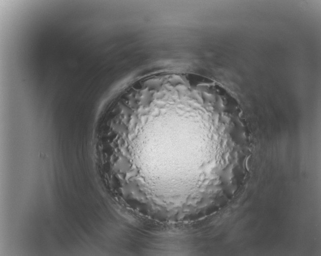 X0000071770149200607150037