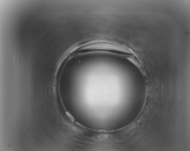 X0000071770152200607150037