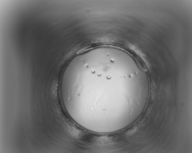 X0000071770153200607150037