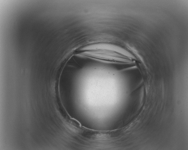 X0000071770154200607150037