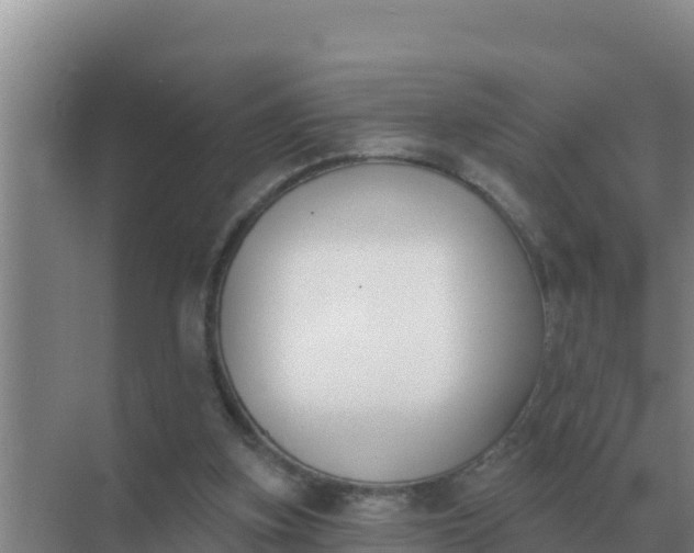 X0000071770155200607150037