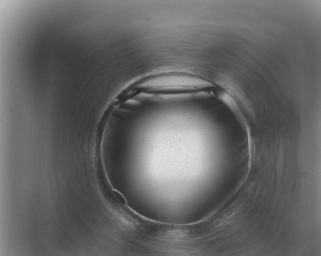 X0000071770156200607150037