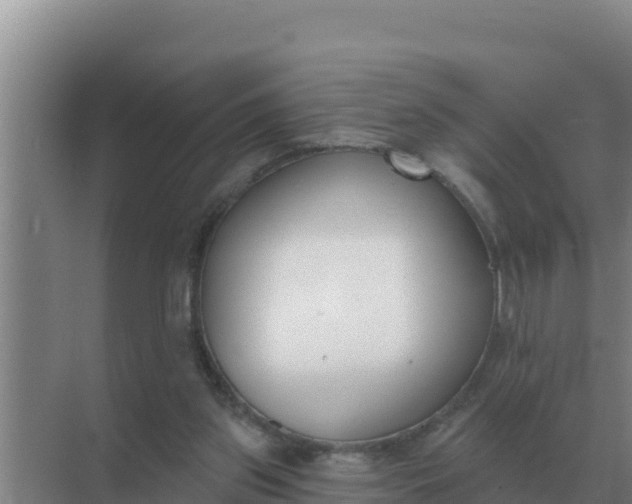 X0000071770157200607150037