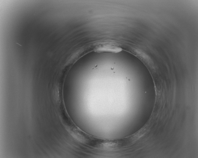 X0000071770158200607150037