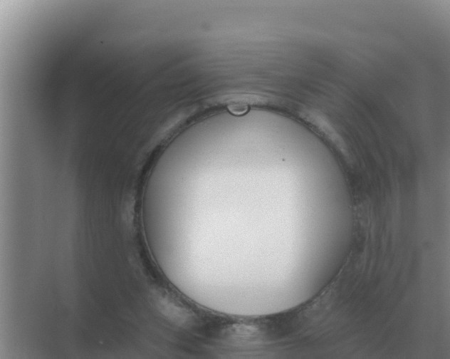 X0000071770159200607150037