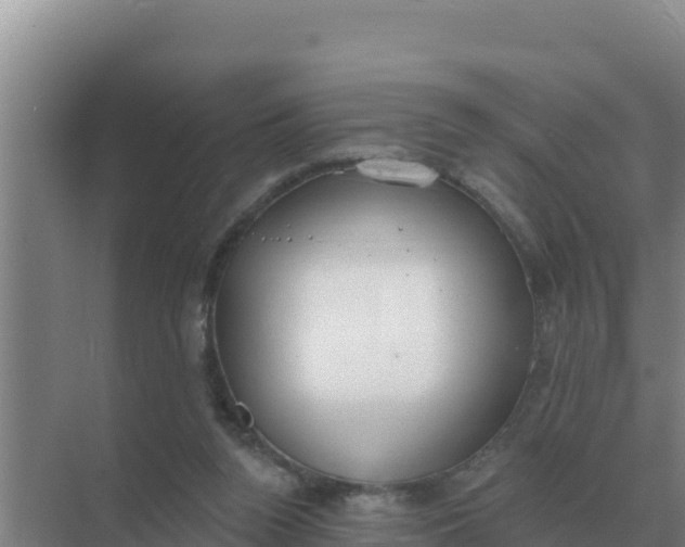 X0000071770160200607150037