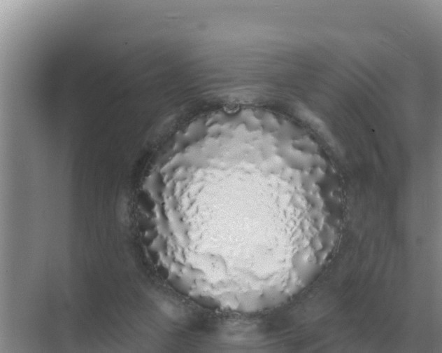 X0000071770161200607150037