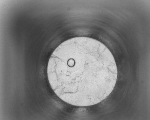 X0000071770162200607150037