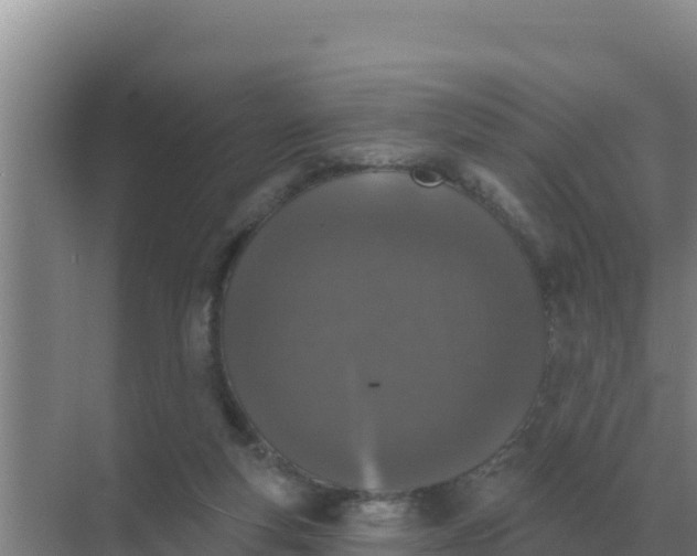 X0000071770163200607150037