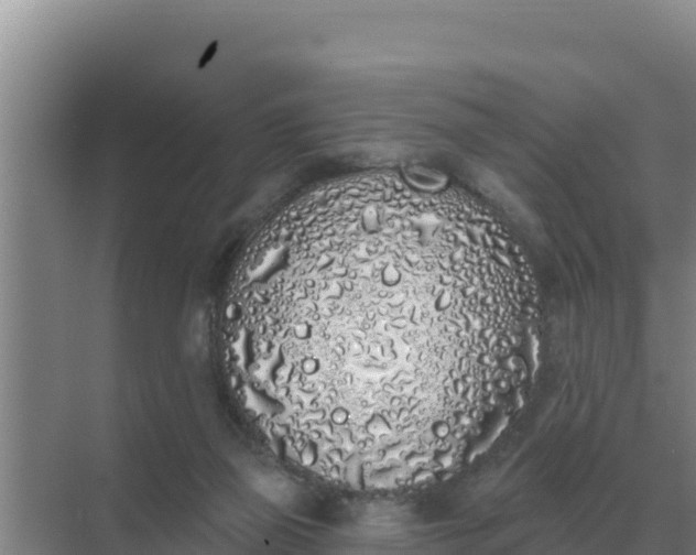 X0000071770165200607150037