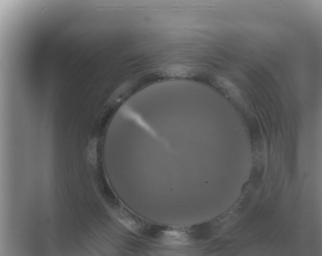 X0000071770167200607150037