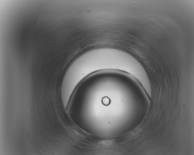 X0000071770168200607150037