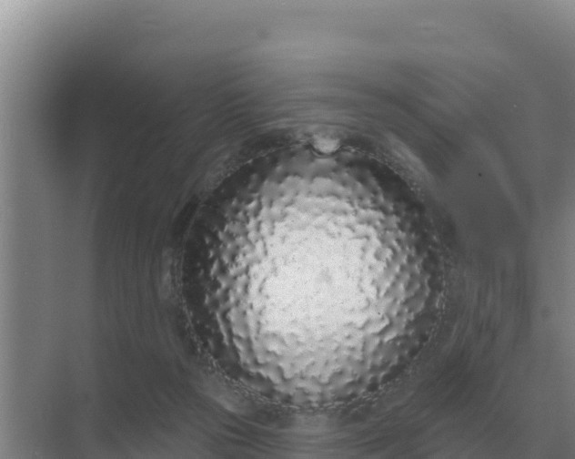 X0000071770169200607150037