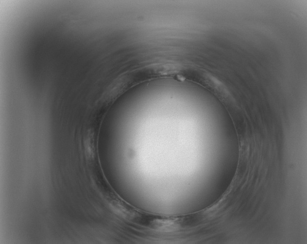 X0000071770170200607150037