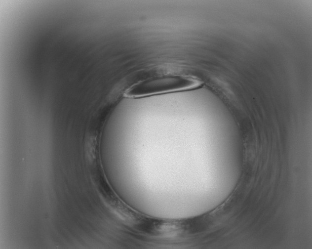 X0000071770171200607150037