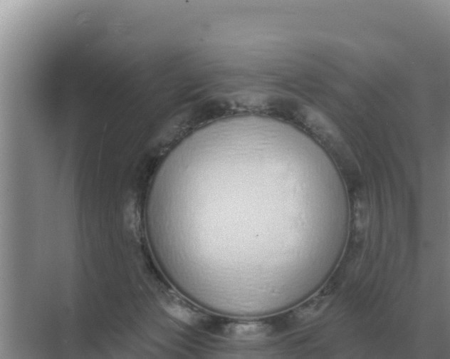 X0000071770173200607150038