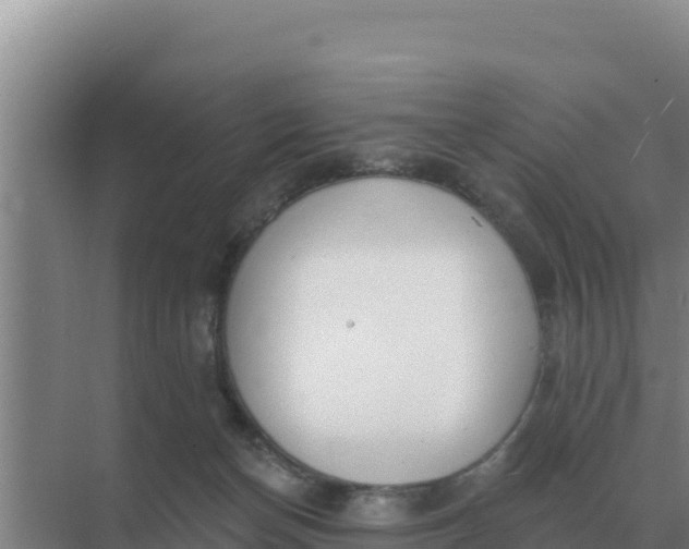 X0000071770174200607150038