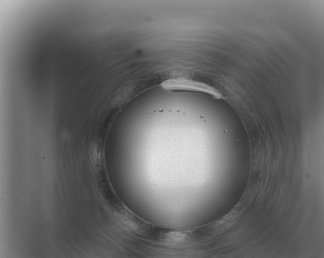 X0000071770176200607150038