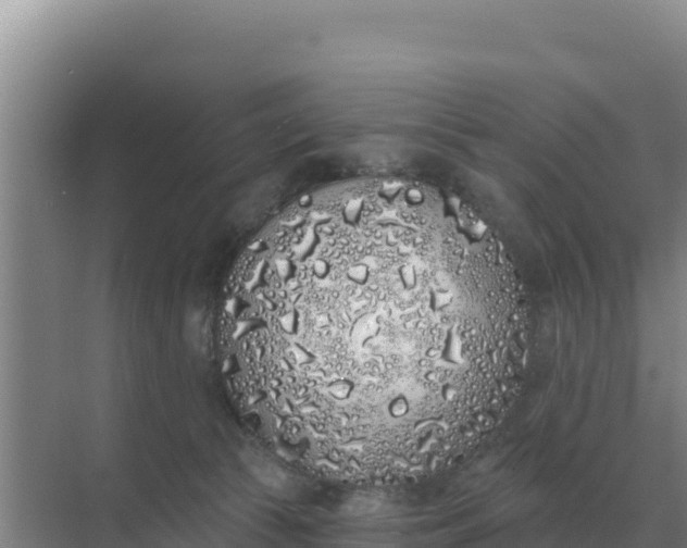 X0000071770177200607150038