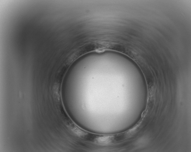 X0000071770178200607150038