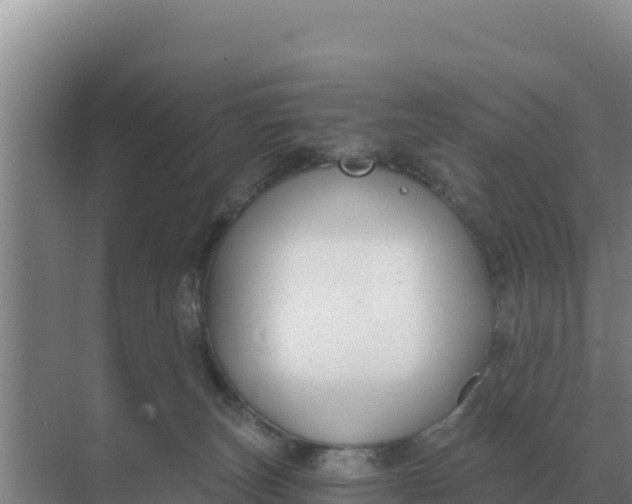 X0000071770179200607150038