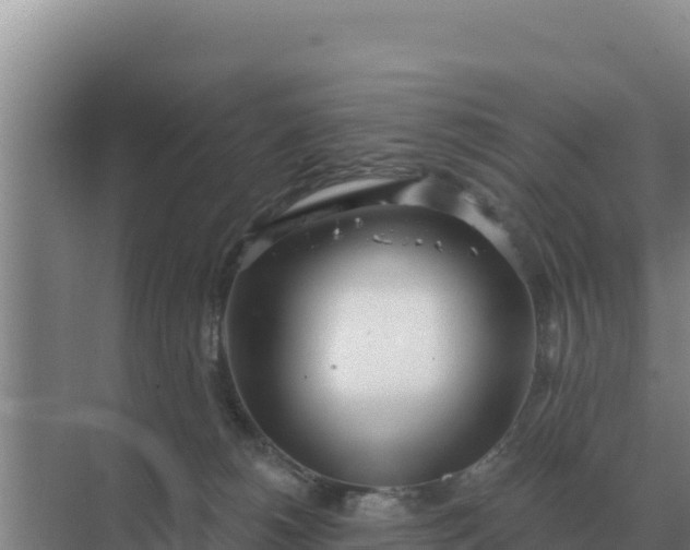 X0000071770180200607150038